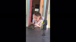 Billy the Squirrel doesn't care where his next meal is coming from, even if it's from my mouth!