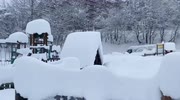 temp