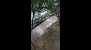 temp