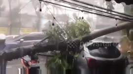 Tree collapses onto car during extreme weather in Bandung, Indonesia
