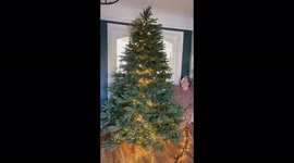 Mum blows minds on TikTok with insane Christmas tree that has 6,000 fairy lights