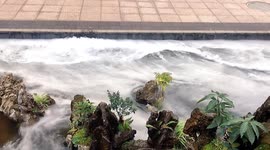 Chemistry teacher pours dry ice into pool to turn it into fairyland