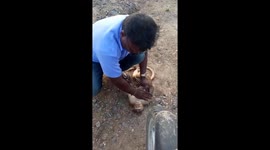 INCREDIBLE moment taxi driver brings monkey back from dead with CPR