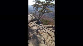 Breathtaking Cliffside View from Sunset Rock, In Chattanooga, TN.