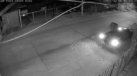 Hero pet dog calls owner when thieves try to steal metal wire