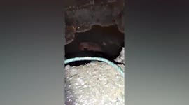 Dog rescued from gutter hole in central Thailand