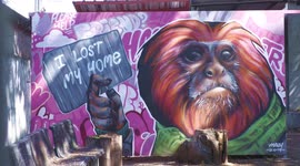 Covid Pandemic inspires graffiti artists in Chiang Mai, Thailand