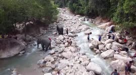 Elephants haul boulders blocking waterway after heavy rain in Thailand