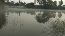 Villagers make fires to keep animals warm as temperature drops in northeast Thailand