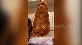 US mum wrapped Christmas tree in cellophane to preserve baubles hung by her son weeks before he died