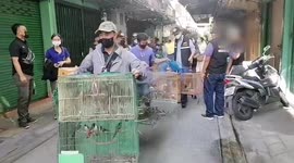 Thai delivery man arrested for ‘trafficking wildlife on social media’