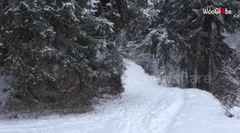 ''Winter is here!' Fairy of the Dolomites (Italy) drenched in snow as the chilly season sets in '