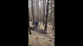 'Rider's cycle run on new forest trail is full of 'thrills & spills''