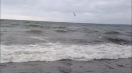 Strong wind storm gusts produce powerful and dangerous Lake waves