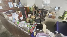 Pet dogs relax behind restaurant counter with owner