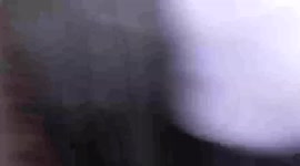 Shocking moment hunt saboteur is allegedly knocked to the ground by 'aggressive' huntsman