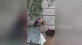 Pet dog rescued after being tied to tree and left in floods during super typhoon Rai in the Philippines (extended)