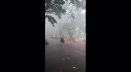 Dozens of trees smashed by extreme winds in Indonesia