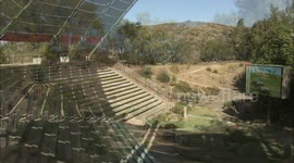 A Behind-The-Scenes Look at the Rare Birds of San Diego Zoo's Bird Show