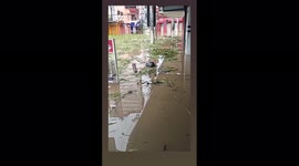 Brazil: Severe Flooding In Bahia After Weeks Of Rainfall 2