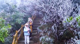 Visitors flock to see ice-covered trees in southern Chinese province