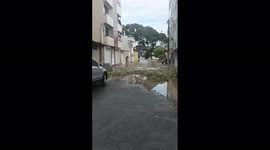 Brazil: Severe Flooding In Bahia After Weeks Of Rainfall 4