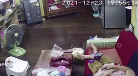 Huge monitor lizard wanders into family home and runs across SOFA