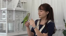 Bird cafe lets customers play with the exotic pets while drinking coffee