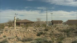 The Tortoise Hotline Is Key To Recovering These Very Important Creatures