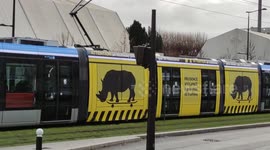 Tramway disguised as a rhinoceros on a skateboard to prevent accidents.Paris.