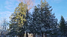 Year of record weather events continue in Pacific Northwest