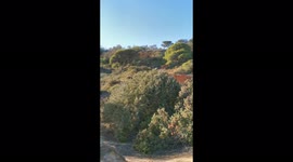 Portugal, Quarteira, Praia da Falesia, red sandstone cliffs walk
