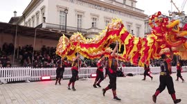 22 countries represented at New Year's Day parade in central London