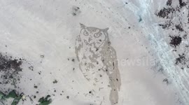 UK sand artist creates giant owl sculpture to herald in the New Year