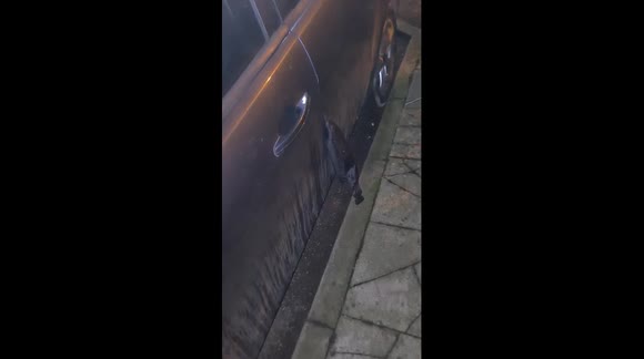 My wallet was lost on Boxing day was found stuck in the car door