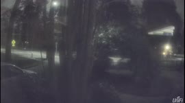 Neighborhood Gunfights just the 