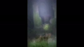 Unbelievable!!!  Scary!!! ghost caught on live video full apparition of a spirit of a tin mine man