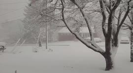 US winter storm moves across East Coast, brings major snowfall, majestic snow to Mid-Atlantic