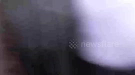 This shocking video shows the moment a hunt saboteur was allegedly knocked to the ground by an 'aggressive' huntsman