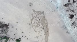 UK sand artist creates giant owl sculpture to herald in the New Year