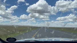 SPLAT! Family from South Africa drives through a massive swarm of locusts