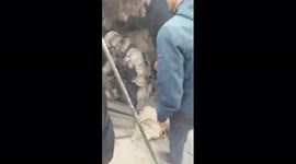 Footage appears to show Kazakh protesters capturing soldiers