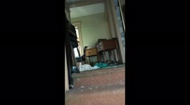 Woman discovers eerie 130-year-old abandoned Dutch-style cottage – littered with photos of dead owner PART ONE