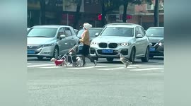 Woman crosses road with three dogs and one goose
