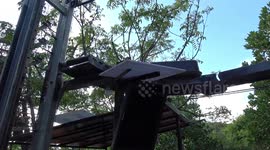 Restaurant uses robots to serve food to customers in Thailand