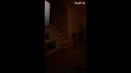 'Girl pays old roommates a surprise visit right before Christmas *Wholesome Reactions*'