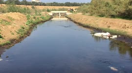A campaign to turn Besor Stream into a natural reserve and park for locals in Gaza Strip.