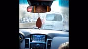 temp