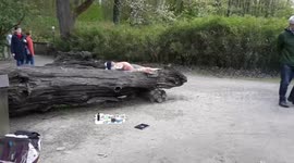 Body painters creates stunning paintings using the human body as a canvas