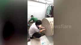 Curious dog watches workers repair water tank leak outside home